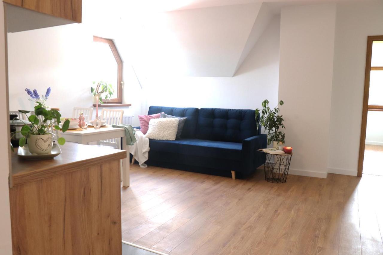 Apartamenty Pardalowka 50 Zakopane Bagian luar foto