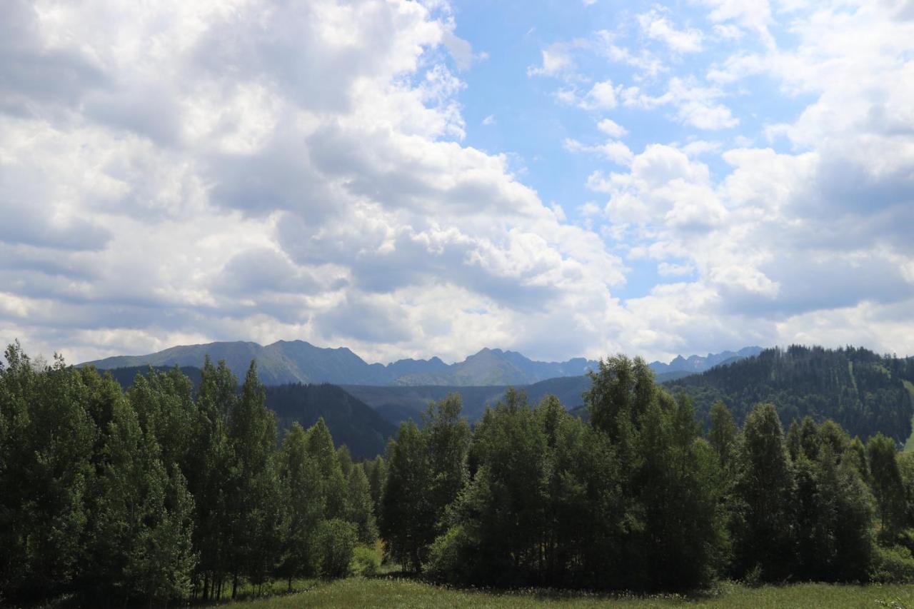 Apartamenty Pardalowka 50 Zakopane Bagian luar foto